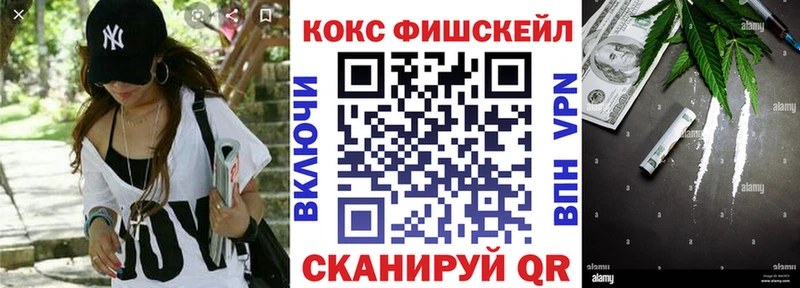COCAIN Fish Scale  Купить закладки  Спасск-Дальний 