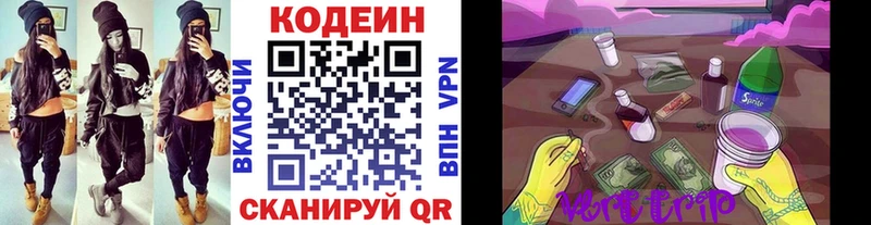 Купить закладки  Спасск-Дальний  Кодеин Purple Drank 