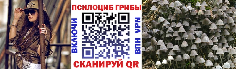 Галлюциногенные грибы Psilocybine cubensis Купить где Спасск-Дальний